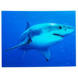 Tablou Shark 60x80cm