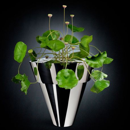 Aranjamente florale LUX - Aranjament floral, NELUMBO DANCE 200cm