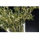 Aranjamente florale LUX - Aranjament floral ETERNITY BOWL VISCHIO