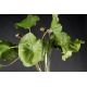 Aranjamente florale LUX - Aranjament floral ETERNITY VASE ANNALISA, 220cm