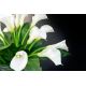 Aranjamente florale LUX - Aranjament floral BOWL CALLA, 120cm
