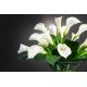 Aranjamente florale LUX - Aranjament floral BOWL CALLA, 120cm