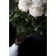 Aranjamente florale LUX - Aranjament floral VASE SERENA trandafiri albi, 125cm
