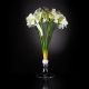 Aranjamente florale LUX - Aranjament floral VULCANO IVORY AMARYLLIS, 110cm