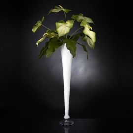 Aranjamente florale LUX - Aranjament floral ARRANGEMENT GLAD