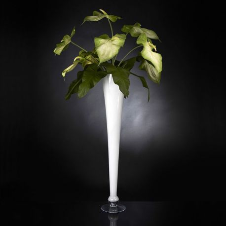 Aranjamente florale LUX - Aranjament floral ARRANGEMENT GLAD