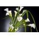 Aranjamente florale LUX - Aranjament floral ETERNITY VANESSA