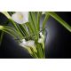 Aranjamente florale LUX - Aranjament floral ETERNITY VANESSA