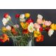 Aranjamente florale LUX - Aranjament floral TROP