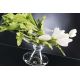 Aranjamente florale LUX - Aranjament floral ANGELICA TULIP