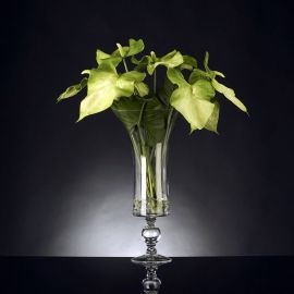 Aranjamente florale LUX - Aranjament floral ANTHURIUM