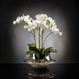 Aranjamente florale LUX - Aranjament floral LIGHT ATOLLO 3 PHALENOPSIS BIG
