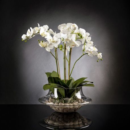 Aranjamente florale LUX - Aranjament floral LIGHT ATOLLO 3 PHALENOPSIS BIG