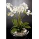 Aranjamente florale LUX - Aranjament floral LIGHT ATOLLO 3 PHALENOPSIS BIG