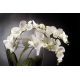 Aranjamente florale LUX - Aranjament floral TROPICAL PLANT