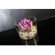 Aranjamente florale LUX - Aranjament floral ROMANTIC LOTUS FLOWER, violet