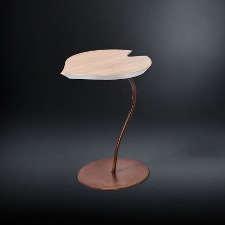 Masute Living - Masuta design LUX LEAF COR-TEN stejar