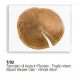 Masute Living - Masuta design Glass&Wood CORTINA H-41cm