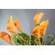 Aranjamente florale LUX - Aranjament floral ALFEO CALLA TRIS portocaliu