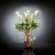 Aranjamente florale LUX - Aranjament floral ALFEO CALLA TRIS alb