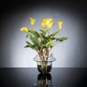 Aranjament floral ALFEO CALLA TRIS galben