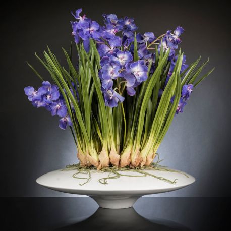 Aranjamente florale LUX - Aranjament floral LUX CYMBIDIUM, 80x95cm