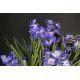 Aranjamente florale LUX - Aranjament floral LUX CYMBIDIUM, 80x95cm