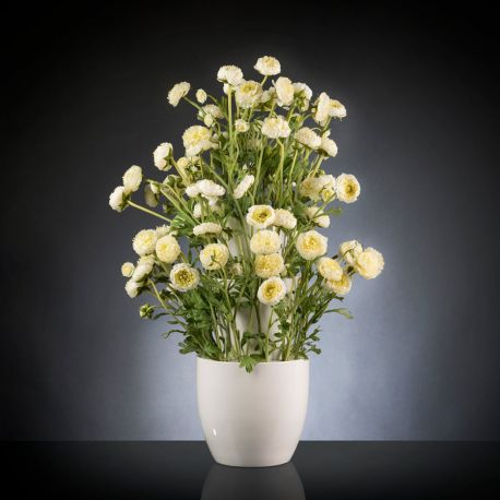 Aranjament Floral Babilon Ranuncolo Big 95cm Alb Aranjamente Flora
