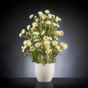 Aranjament floral BABILON RANUNCOLO BIG 95cm, alb