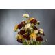 Aranjamente florale LUX - Aranjament floral BABILON RANUNCOLO Small 50cm, multicolor
