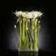 Aranjamente florale LUX - Aranjament floral LUX SPIDERLILLY, 65x85cm