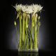Aranjament floral LUX SPIDERLILLY, 50x100cm