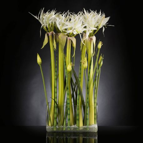 Aranjamente florale LUX - Aranjament floral LUX SPIDERLILLY, 50x100cm