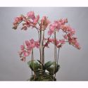 Aranjament floral ORCHID O/SOIL RED 75cm