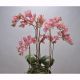 Aranjamente florale LUX - Aranjament floral ORCHID O/SOIL RED 75cm