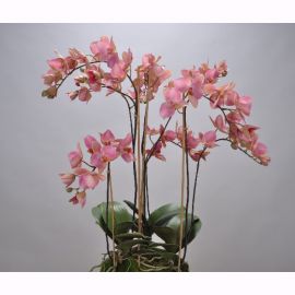 Aranjamente florale LUX - Aranjament floral ORCHID O/SOIL RED 75cm