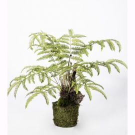 Aranjamente florale LUX - Aranjament floral I/POT FERN GREEN 90cm