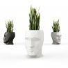 GHIVECI FLORI ADAN PLANTER