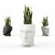 Ghivece - GHIVECI FLORI ADAN PLANTER