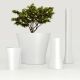 Ghivece - GHIVECI FLORI BONES PLANTER