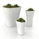 Ghivece - GHIVECI FLORI BONES PLANTER