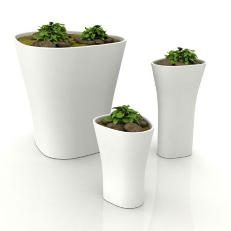 Ghivece - GHIVECI FLORI BONES PLANTER