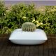 Ghivece - GHIVECI PILLOW PLANTER