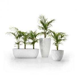 Ghivece - GHIVECI VASES PLANTER