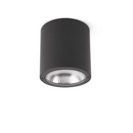 Spoturi - Spot LED aplicat iluminat exterior GOZ