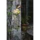 Aplice - Aplica perete iluminat exterior stil modern BRONX maro