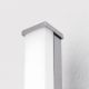 Aplice oglinda, tablou - Aplica LED cu protectie IP44 Argo, 60cm