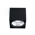 Plafoniera cu spot directionabil TECTO-1