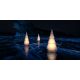 Obiecte decorative - Brad Decorativ FOREST 1m ILUMINAT LED