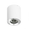 Spot aplicat tavan/plafon stil modern Neos 1 White/Chrome